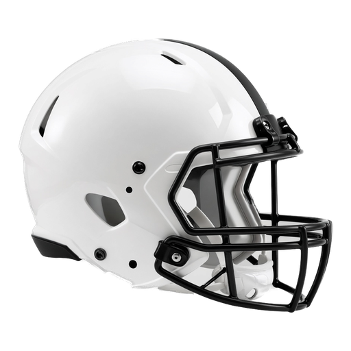 Delaware Valley helmet