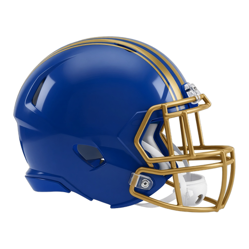 Valley View helmet